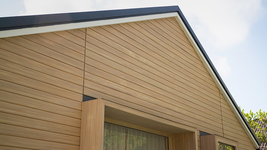 ������� ���� ���������