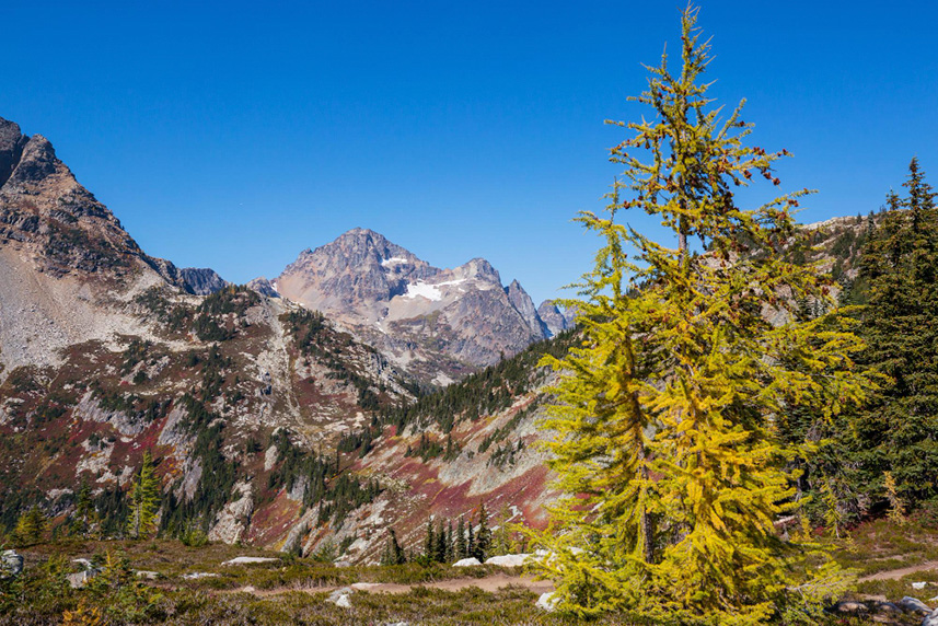 �������� ��������� �����������