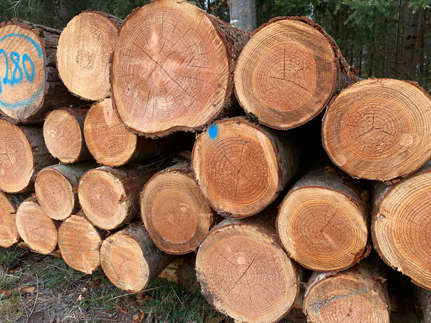 �������� ��������� �����